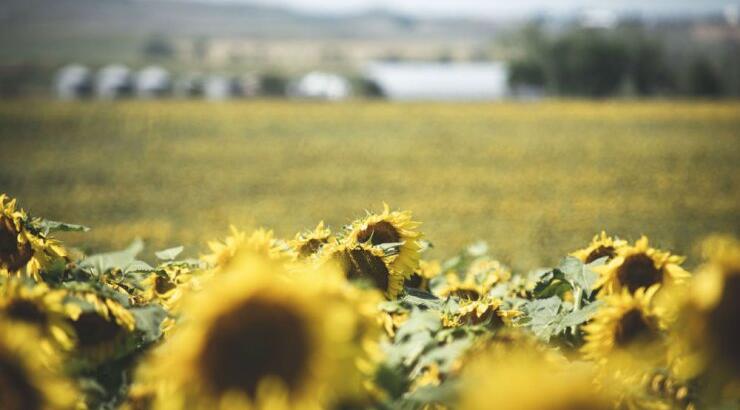 Τι προβλέπουν τα ζώδια για την Τρίτη 20 Αυγούστου 2019;