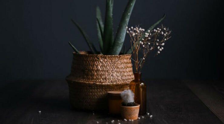 Τι προβλέπουν τα ζώδια για την Παρασκευή 21 Φεβρουαρίου 2020;