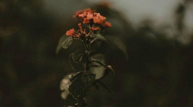 Τι προβλέπουν τα ζώδια για την Τετάρτη 22 Ιανουαρίου 2020;