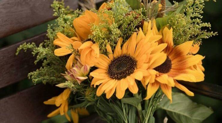 Τι προβλέπουν τα ζώδια για την Τετάρτη 27 Φεβρουαρίου 2019;