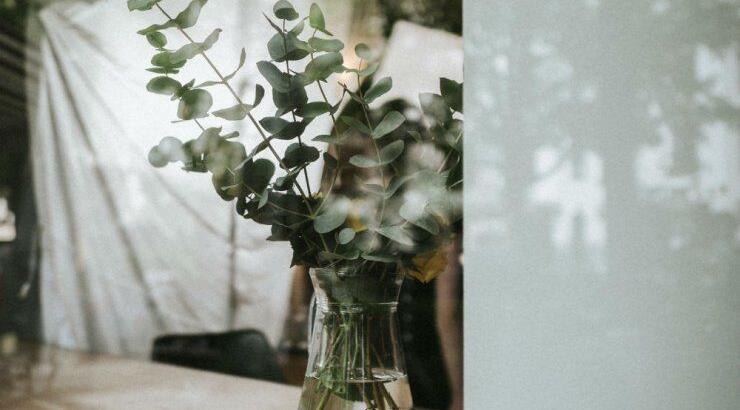 Τι προβλέπουν τα ζώδια για την Τετάρτη 29 Απριλίου 2020;