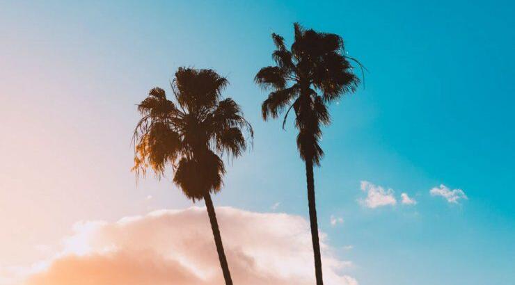 Τι προβλέπουν τα ζώδια για την Πέμπτη 30 Μαϊου 2019;