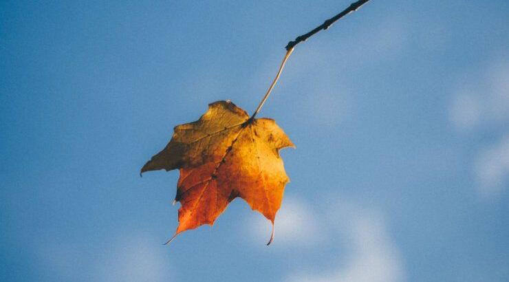 Τι προβλέπουν τα ζώδια για την Πέμπτη 3 Σεπτεμβρίου 2020;