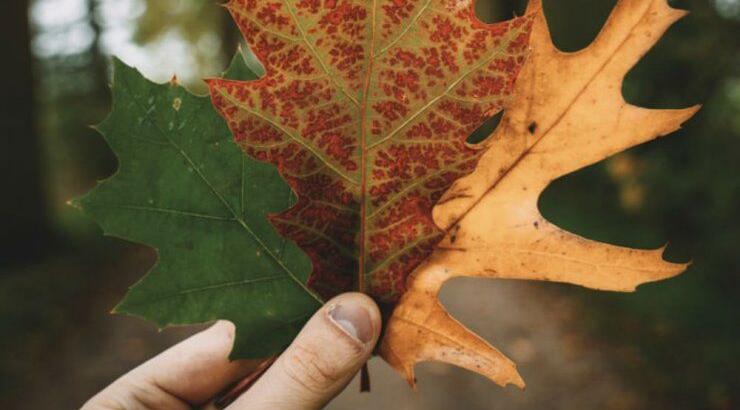 Τι προβλέπουν τα ζώδια για την Τρίτη 29 Οκτωβρίου 2019;