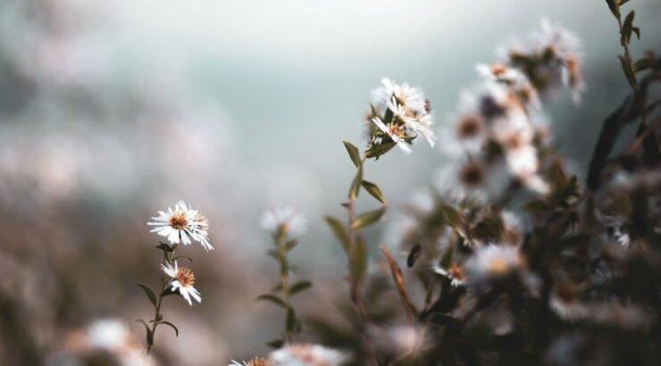 Τι προβλέπουν τα ζώδια για το Σάββατο 26 Οκτωβρίου 2019;