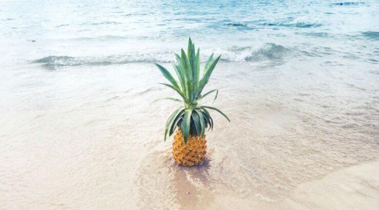 Τι θα φέρει ο μήνας Ιούνιος για όλα τα ζώδια; 