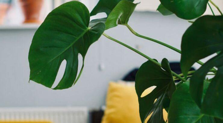 Τι προβλέπουν τα ζώδια για την Τρίτη 26 Μαρτίου 2019;