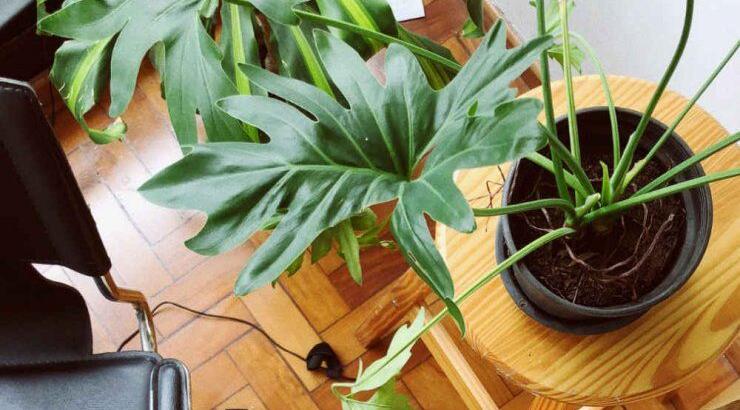 Τι προβλέπουν τα ζώδια για την Κυριακή 22 Μαρτίου 2020;