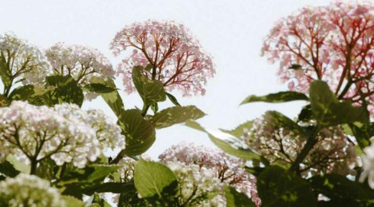 Τι προβλέπουν τα ζώδια για το Σάββατο 6 Ιουλίου 2019;