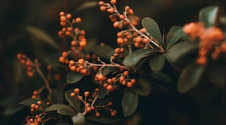 Τι προβλέπουν τα ζώδια για την Τρίτη 14 Ιανουαρίου;