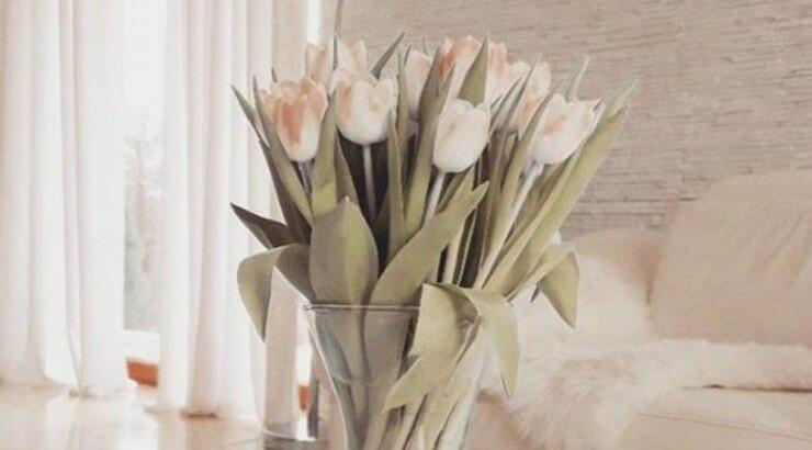 Τι προβλέπουν τα ζώδια για την Τρίτη 19 Φεβρουαρίου 2019;