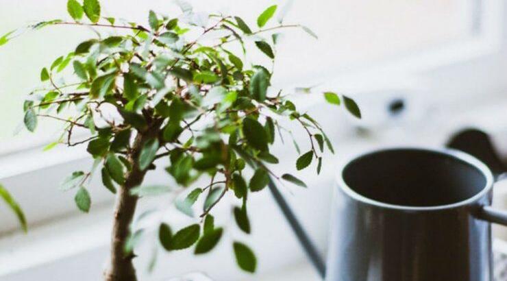 Τι προβλέπουν τα ζώδια για την Τρίτη 24 Σεπτεμβρίου 2019;