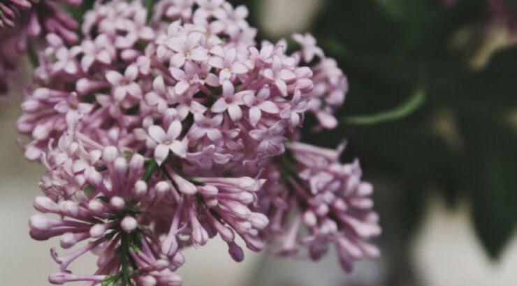 Τι προβλέπουν τα ζώδια για το Σάββατο 28 Σεπτεμβρίου 2019;