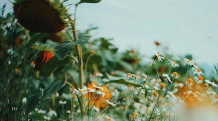 Τι προβλέπουν τα ζώδια για την Κυριακή 29 Σεπτεμβρίου 2019;