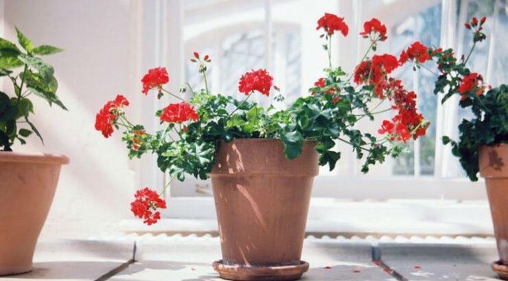 Τι προβλέπουν τα ζώδια για την Τετάρτη 16 Οκτωβρίου 2019;