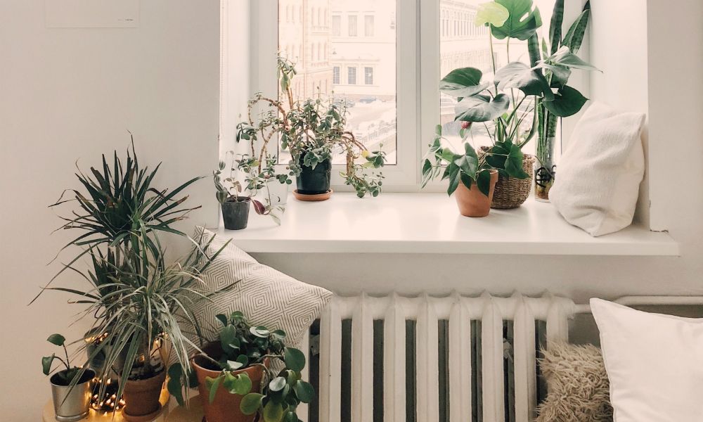 Βάλε φυτά στο σπίτι σου με επτά πρωτότυπους τρόπους | Ι LOVE STYLE